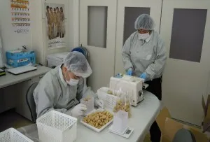 障害福祉サービス事業所　わらび学園