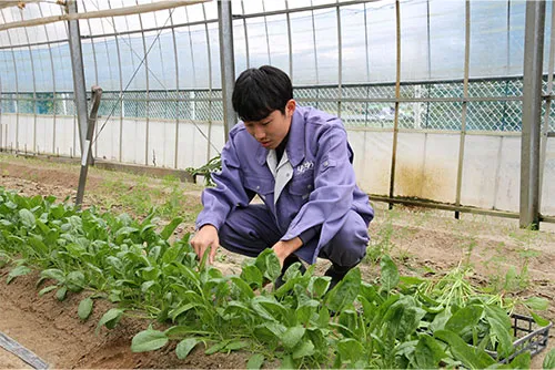 障害福祉サービス事業所ほうゆう