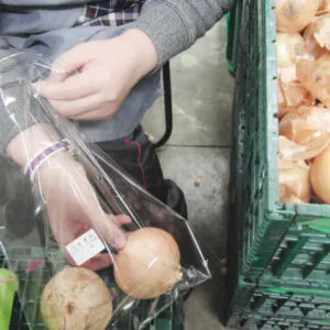 にじいろのカルテ