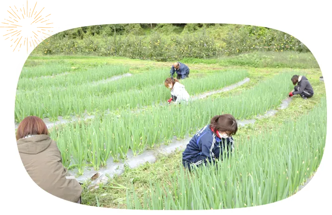 めだかの園Ｂ型