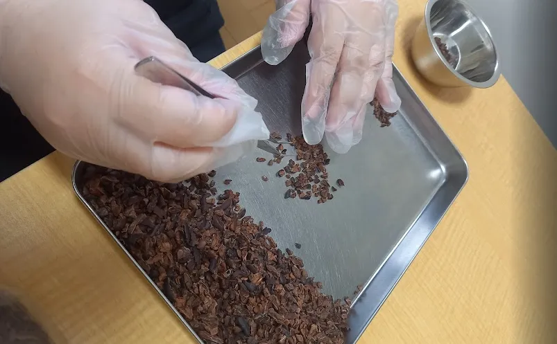 就労継続支援B型「蒼」