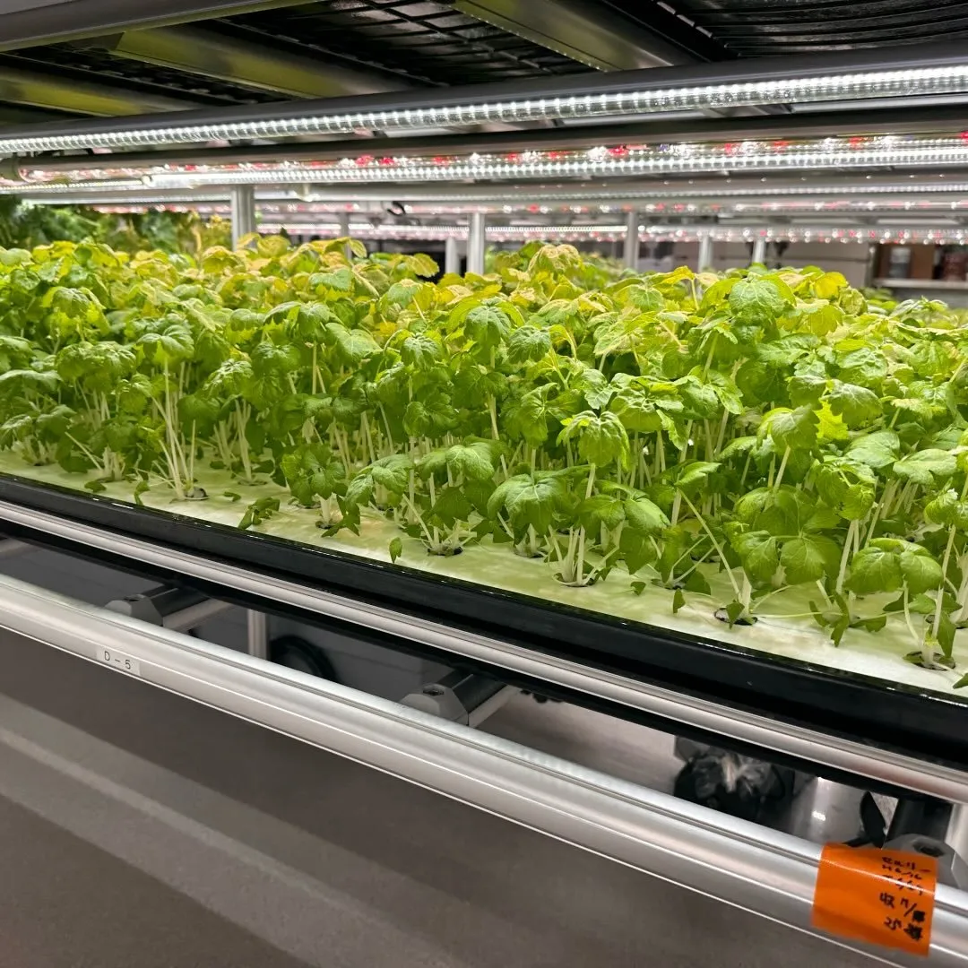 ミライファーム