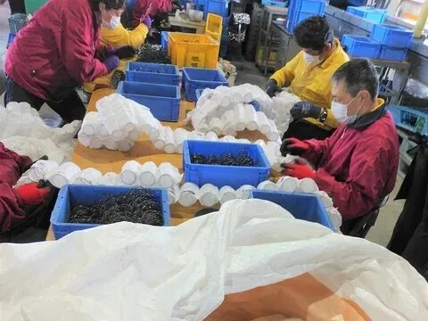 障がい福祉サービス事業所　ステップボード２