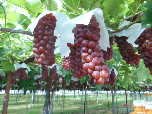 公徳会就労支援センター