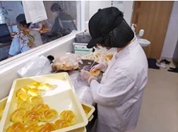 浅草みらいど「ルーツ」