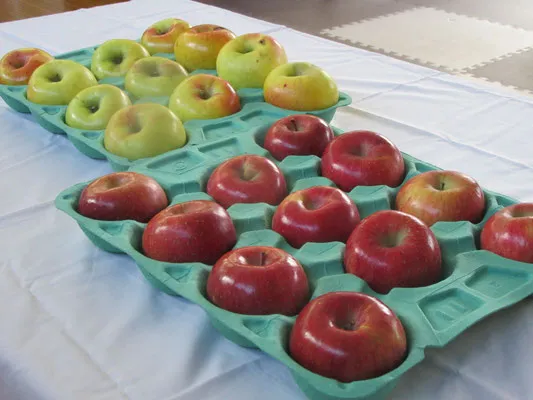 就労継続支援Ｂ型事業所　工房あおぞら