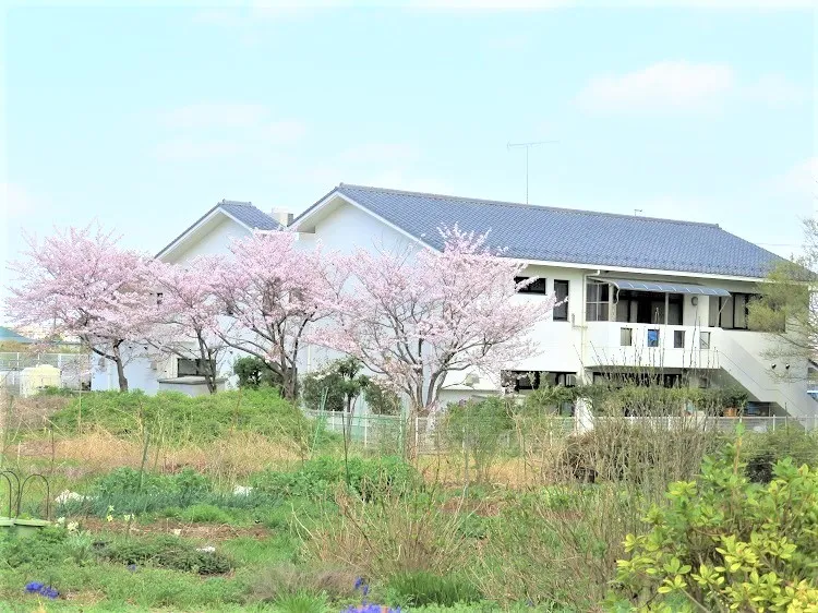 さいたま市槻の木