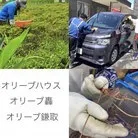 オリーブハウス